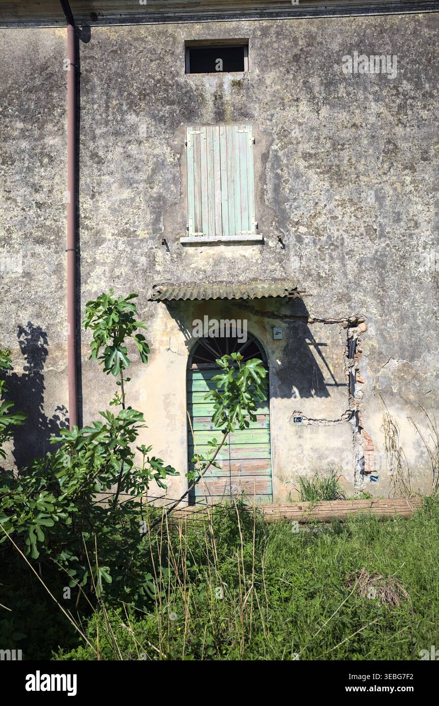 Facciata logora di un hoiuse di campagna abbandonato, con una porta d'ingresso in legno e una pianta selvatica di fronte, vista in una giornata di sole nel conto italiano Foto Stock