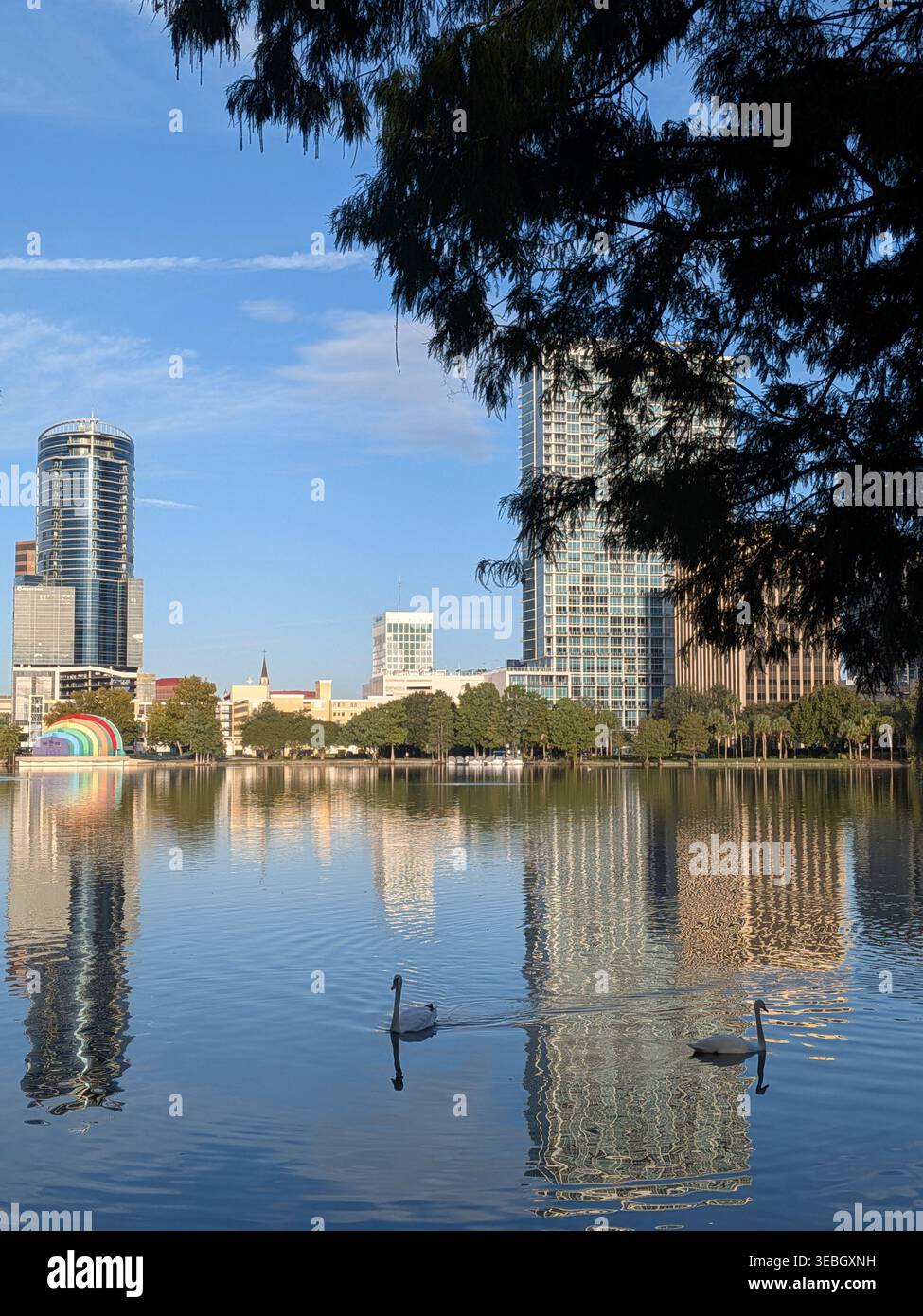 Un paesaggio urbano si vede attraverso un tranquillo lago, con moderni grattacieli che si riflettono sull'acqua. Un albero e un fogliame incorniciano splendidamente la vista. Foto Stock