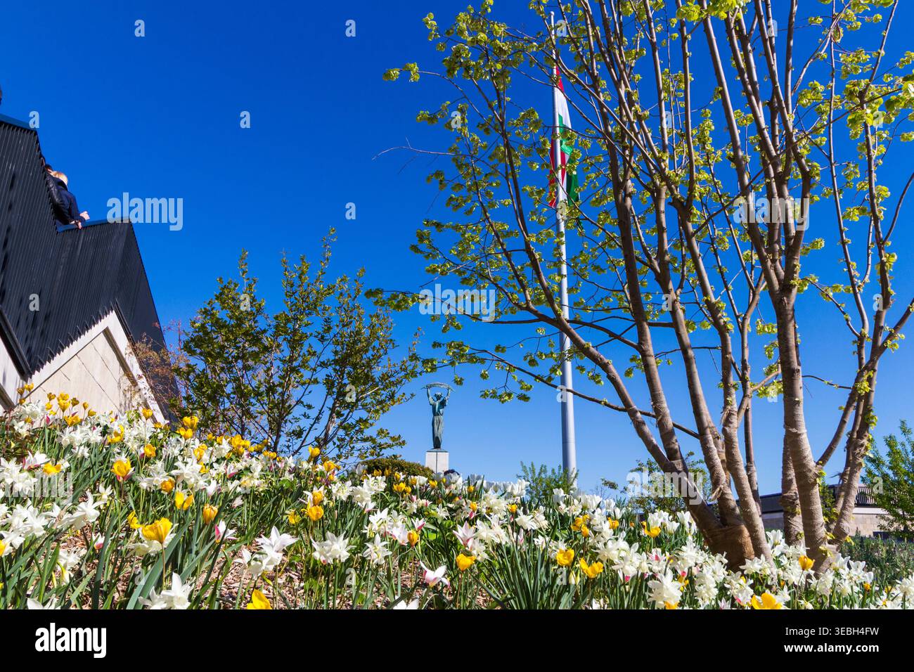 Parco della Cittadella con fiori e Statua della libertà, Cittadella, Gellert-Hegy (collina di San Gellert), Budapest, Ungheria Foto Stock
