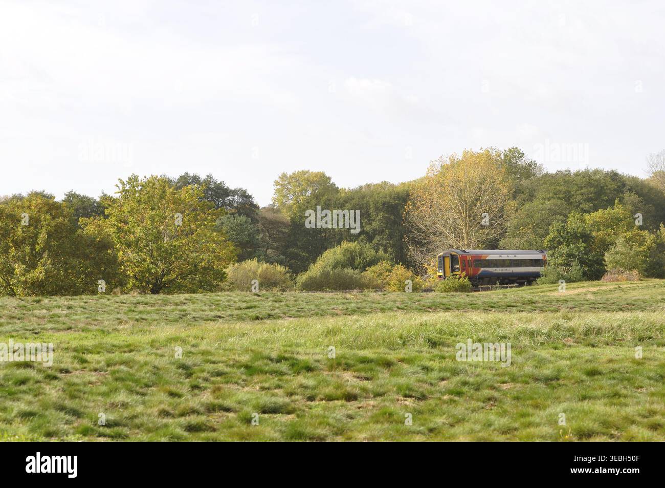 Servizio ferroviario rurale a nord-est di Brandon nella valle di Little Ouse sul confine tra Norfolk e Suffolk, Inghilterra, Regno Unito Foto Stock
