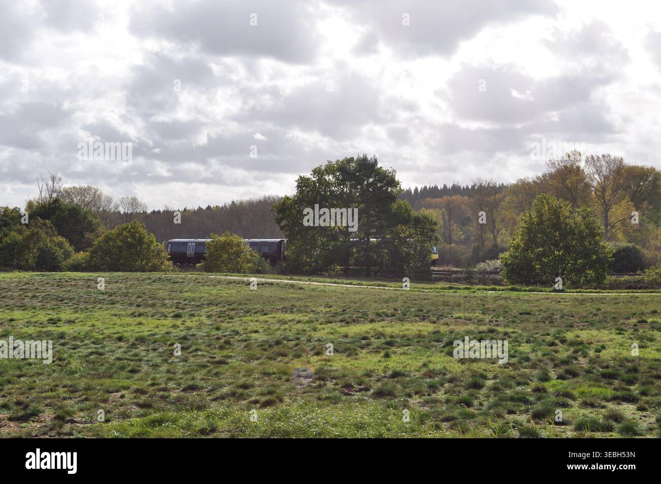 Servizio ferroviario rurale a nord-est di Brandon nella valle di Little Ouse sul confine tra Norfolk e Suffolk, Inghilterra, Regno Unito Foto Stock