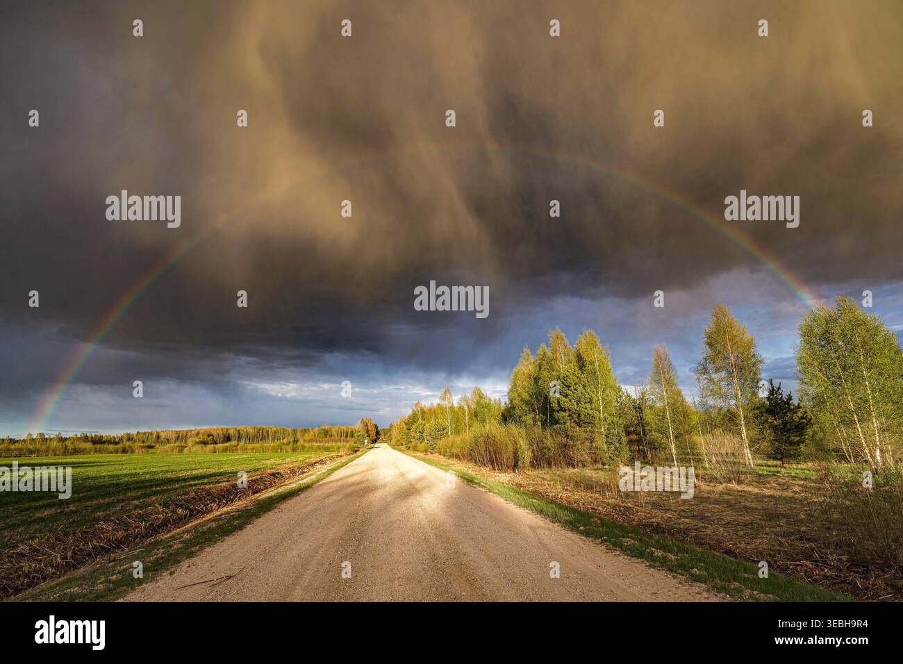 Arcobaleno sopra una strada di campagna Foto Stock