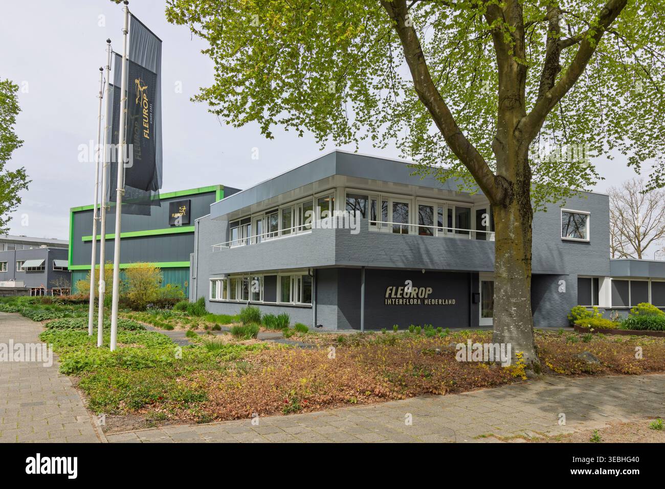 Veenendaal, Paesi Bassi, 15 aprile 2026. L'esterno dell'edificio per uffici Fleurop Interflora Nederland presenta un'architettura moderna, bandiere e terreni Foto Stock