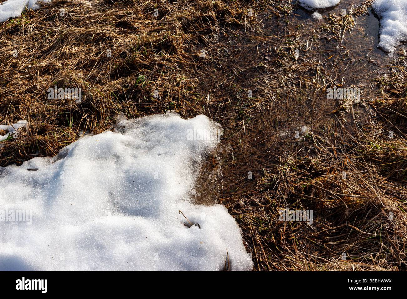 La scintillante acqua di fusione scorre sulle erbe inattive dell'inverno. Le macchie di neve bianche brillanti si ritirano, risvegliando il campo rurale sottostante, segnalando il signore della primavera Foto Stock