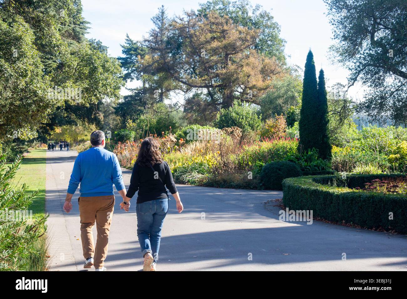 Herbaceous Border, Christchurch Botanical Gardens, Christchurch Central City, Christchurch (Ōtautahi), Canterbury, isola del Sud, nuova Zelanda Foto Stock