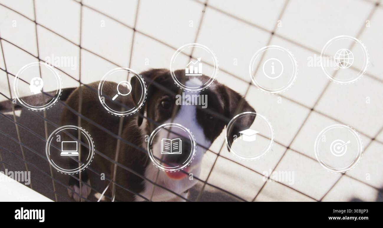 Sbirciare un piccolo cane bianco e nero che guarda attraverso la penna a rete metallica sul pavimento piastrellato, con icone dell'interfaccia utente Foto Stock