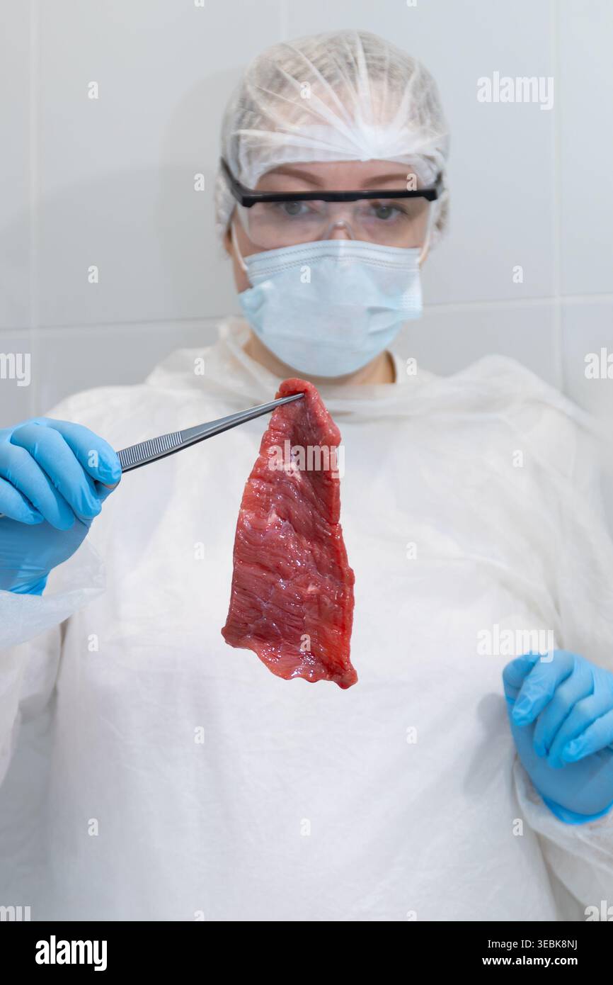 Tecnico addetto alla sicurezza alimentare che ispeziona la carne cruda in laboratorio sterile, indossa maschera, occhiali, retina, guanti e camice protettivo, tiene il campione di carne rossa sulle pinzette per il controllo di qualità Foto Stock
