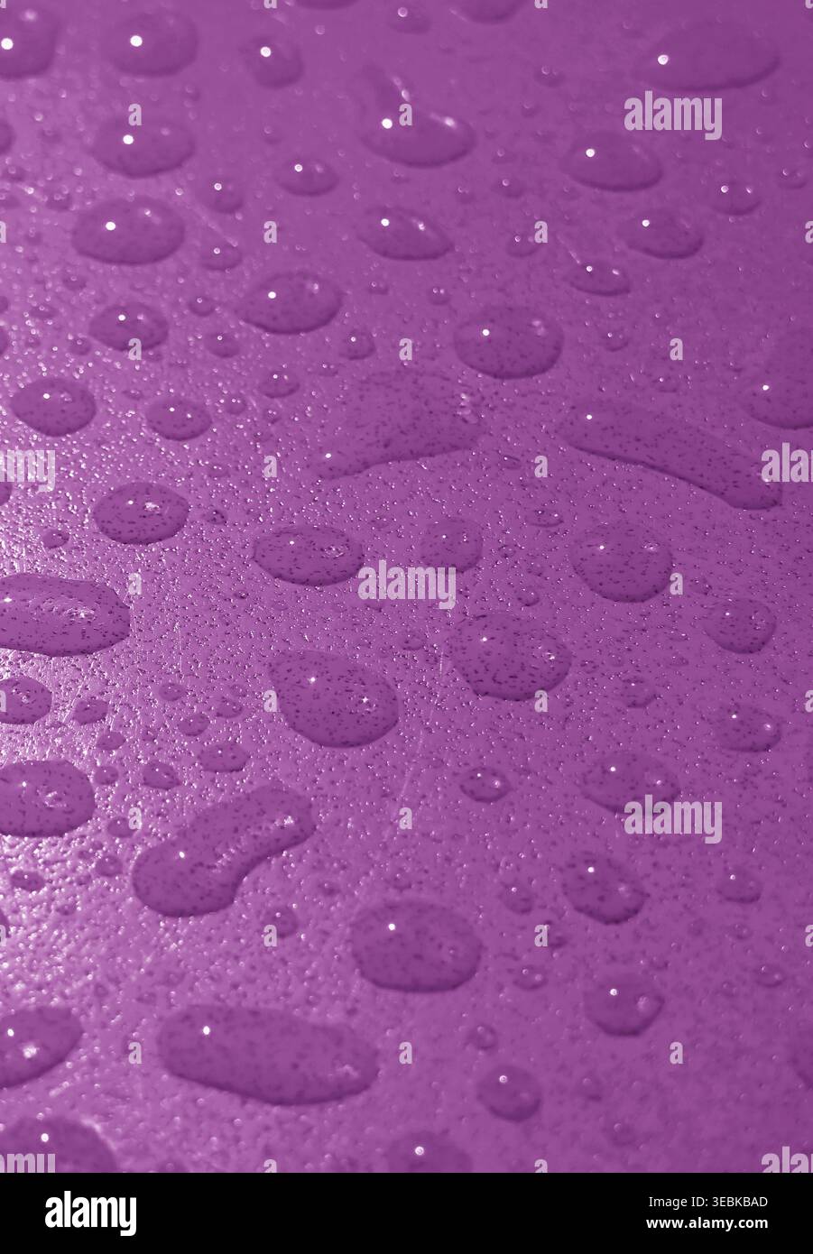 Primo piano di gocce d'acqua su un piano portapaziente di colore viola intenso dopo la pioggia Foto Stock