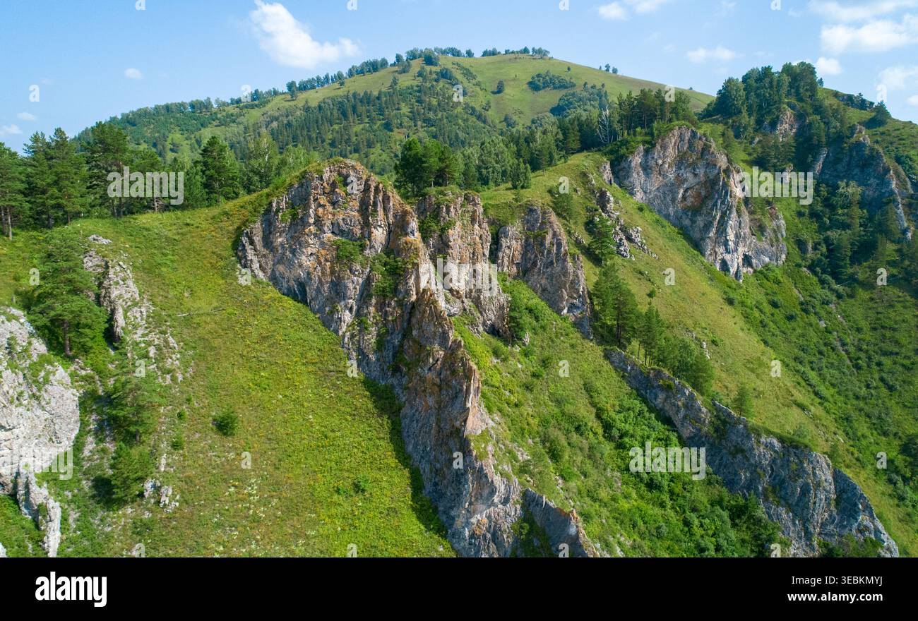 Gli affioramenti rocciosi dominano le verdeggianti montagne dell'Altai con alberi di pino sparpagliati sotto un cielo estivo azzurro Foto Stock