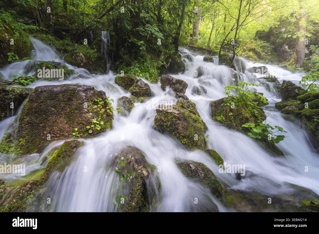 Vista delle cascate di acqua bianca su rocce scure e muschiate, che scorrono attraverso una foresta verde bagnata dalla luce del sole, Stahovica, Kamnik, Slovenia. Foto Stock