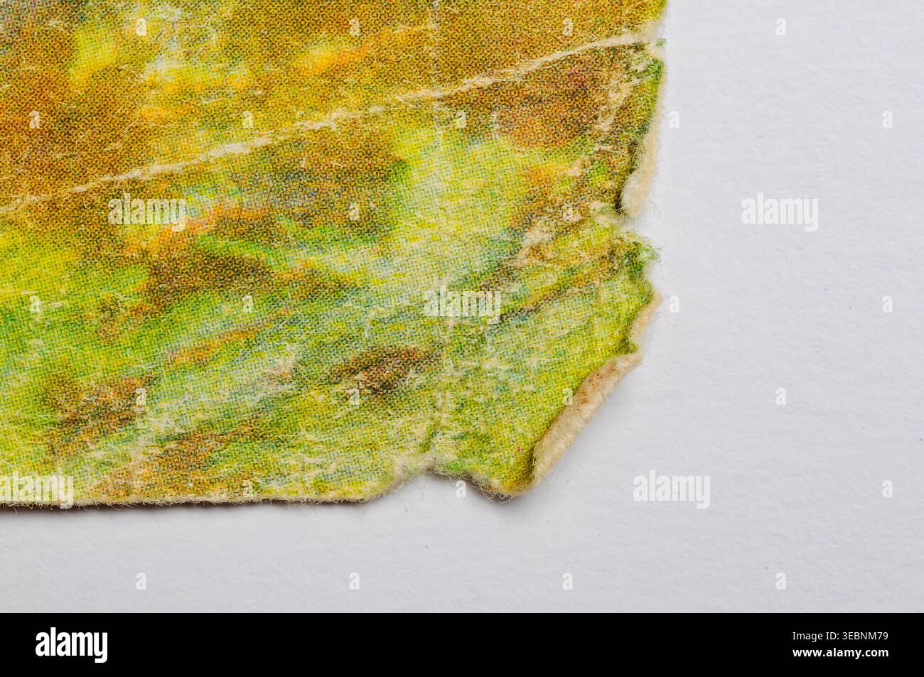 Vista macro ravvicinata di un motivo astratto con sfumature verdi e gialle Foto Stock
