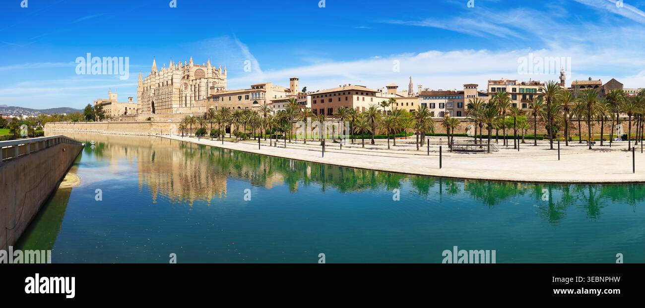 Cattedrale di Maiorca e parco con palme. Parc de la Mar a Palma di Maiorca - panorama Foto Stock
