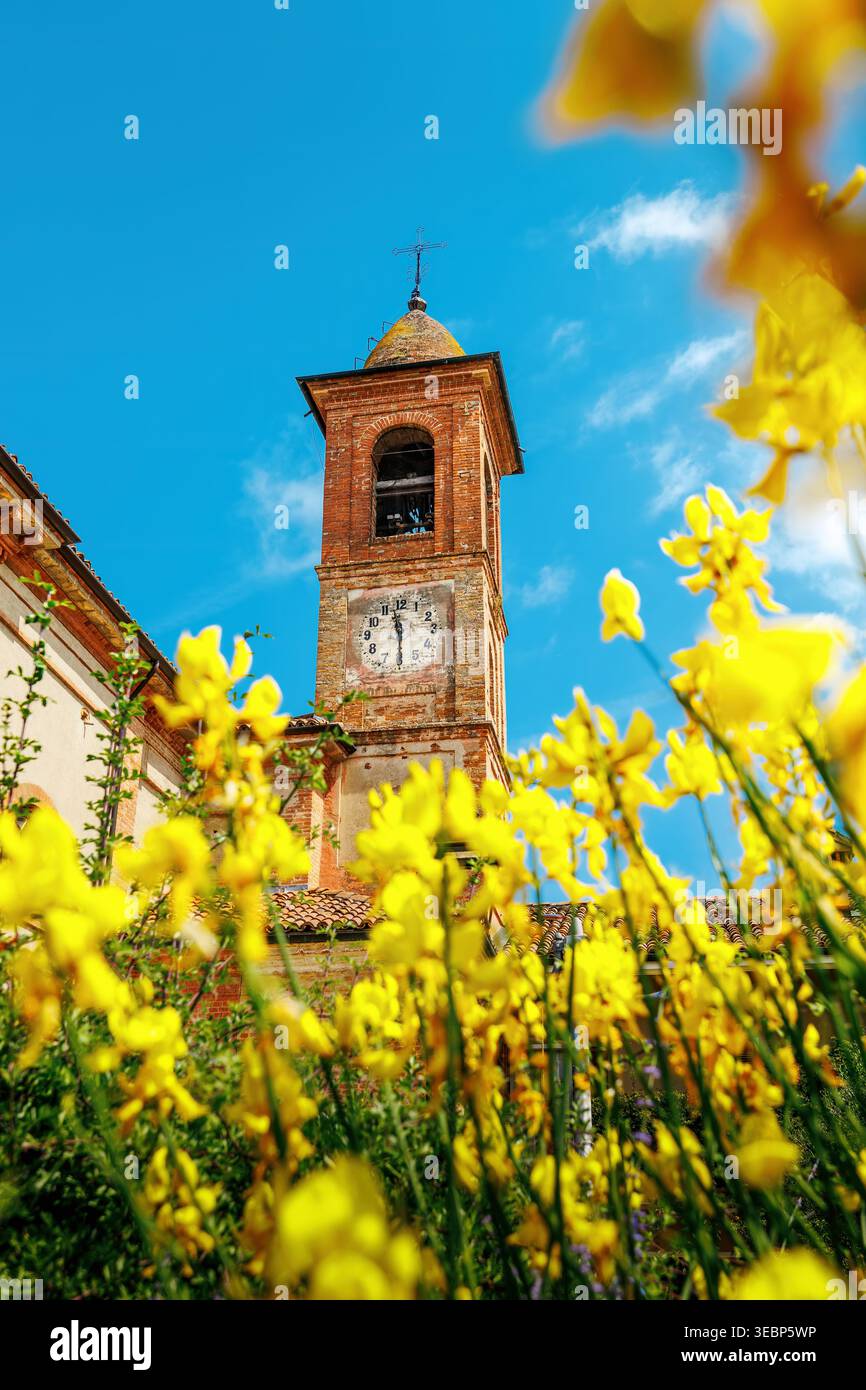Una vista verticale dello storico campanile incorniciato da vibranti fiori primaverili gialli sotto un cielo blu a Grinzane Cavour, Piemonte, Italia Foto Stock