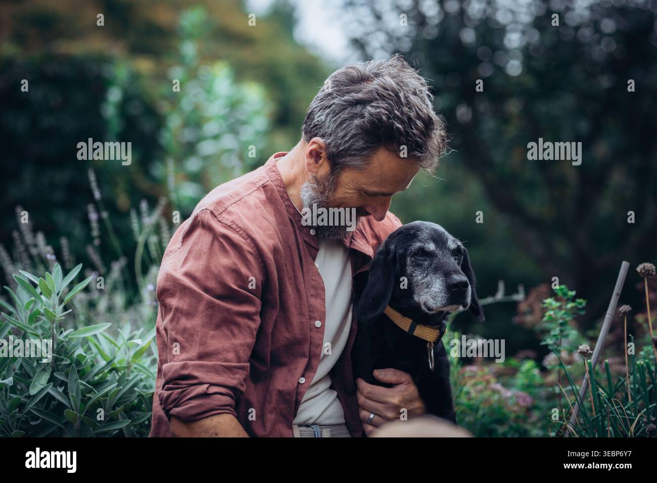 Uomo che abbraccia il cane anziano con affetto. Foto Stock