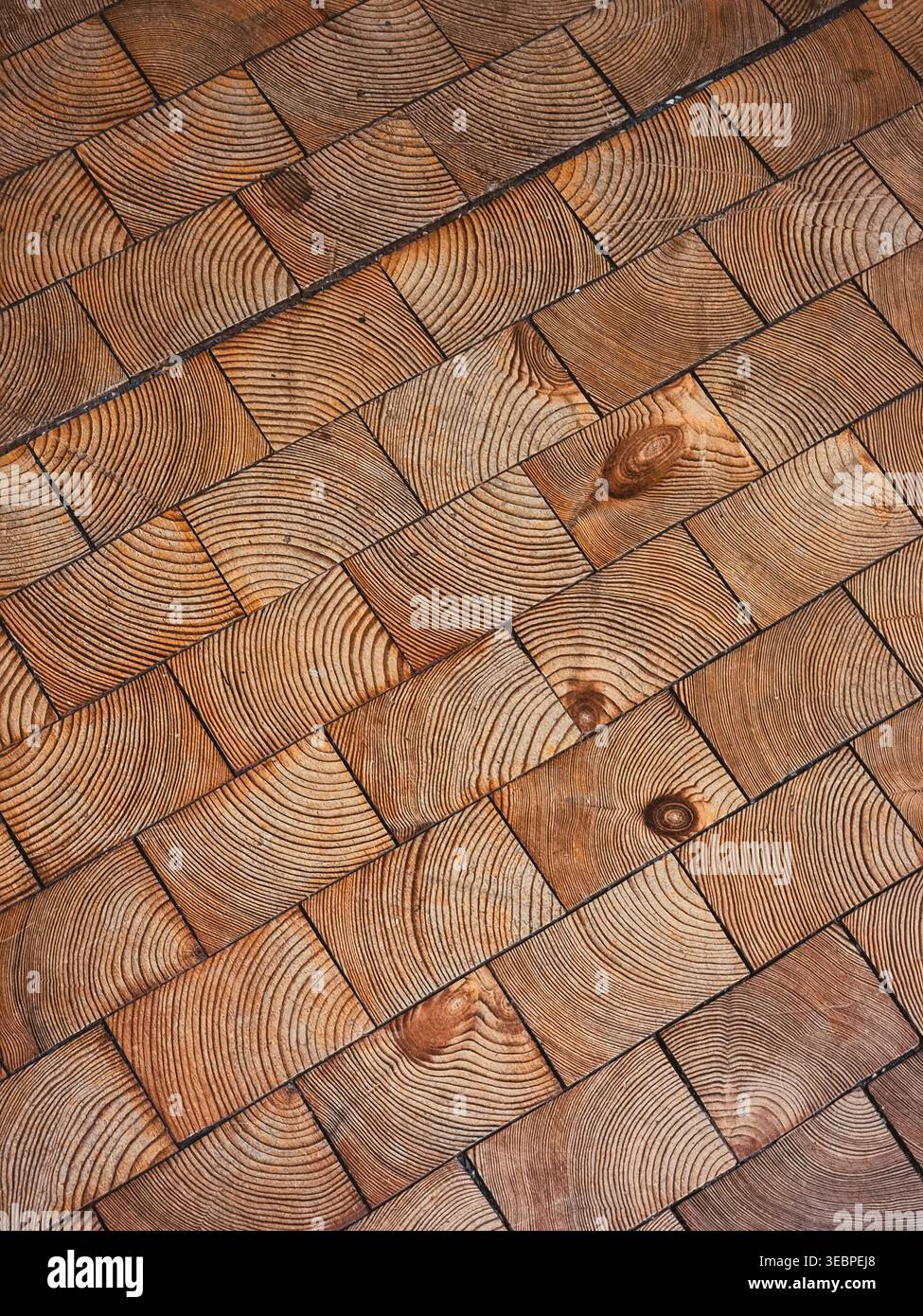 Pavimento in legno di pino a grana fine. Colpo ad angolo elevato di finitrici in legno a grana fine durevole. Trama di pino naturale con anelli e nodi visibili. Foto Stock