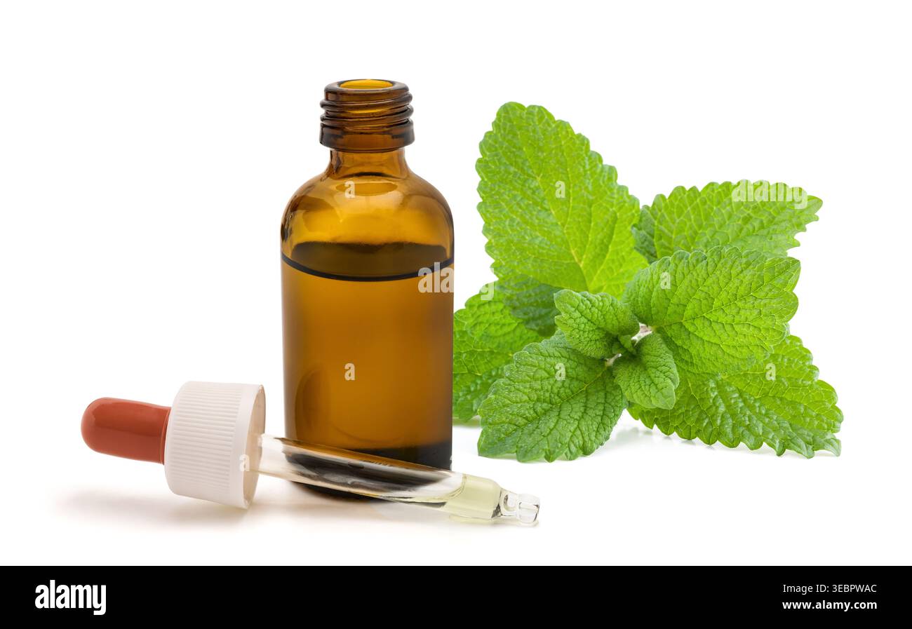 Flacone contagocce in vetro con estratto di erbe Melissa officinalis (balsamo del limone), isolato su sfondo bianco. Concetto di rimedio naturale, olio essenziale, fitto Foto Stock