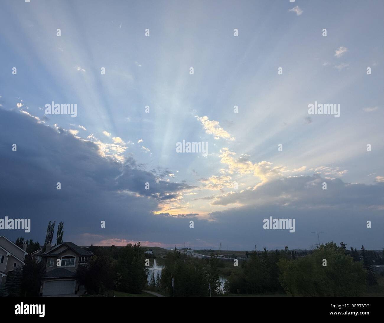 Basta cercare la collezione - Immagine stock catturata con smartphone