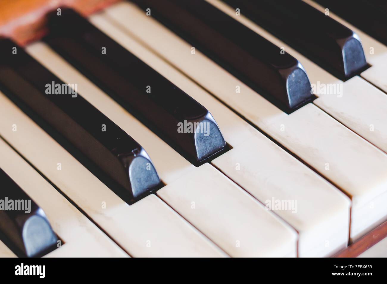 Tasti per pianoforte in primo piano, in bianco e nero, illuminati delicatamente. Le superfici lisce brillano sotto una luce delicata. Tasti disposti secondo un classico schema musicale. Rif. Debole Foto Stock