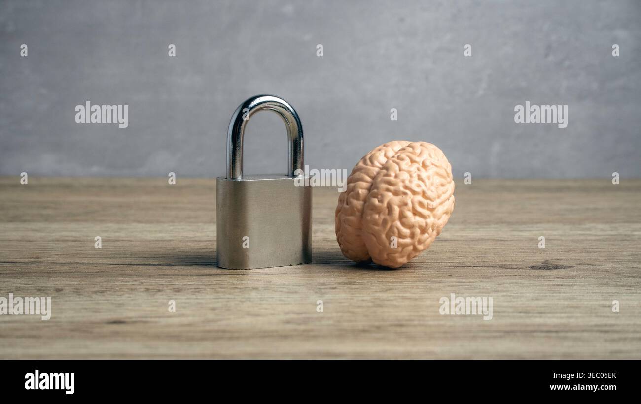 Un lucchetto metallico fissato accanto a un modello di cervello umano che simboleggia la privacy dei dati, la sicurezza della salute mentale e i pensieri protetti. Foto Stock
