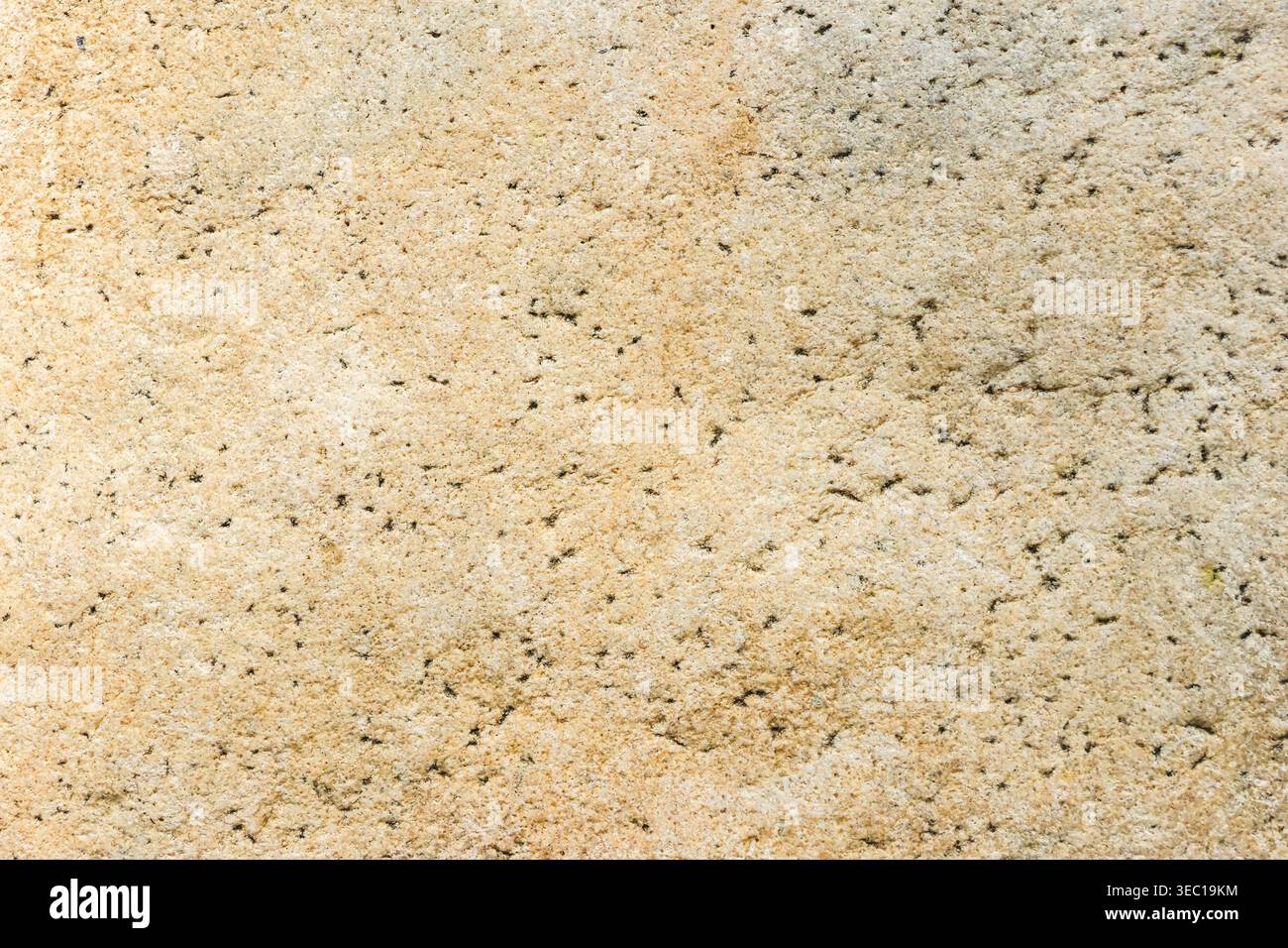 Struttura dello sfondo in pietra naturale con motivo di superficie beige. Materiale della parete con dettagli astratti in roccia. Il design del pavimento mostra una solida calma e robustezza Foto Stock