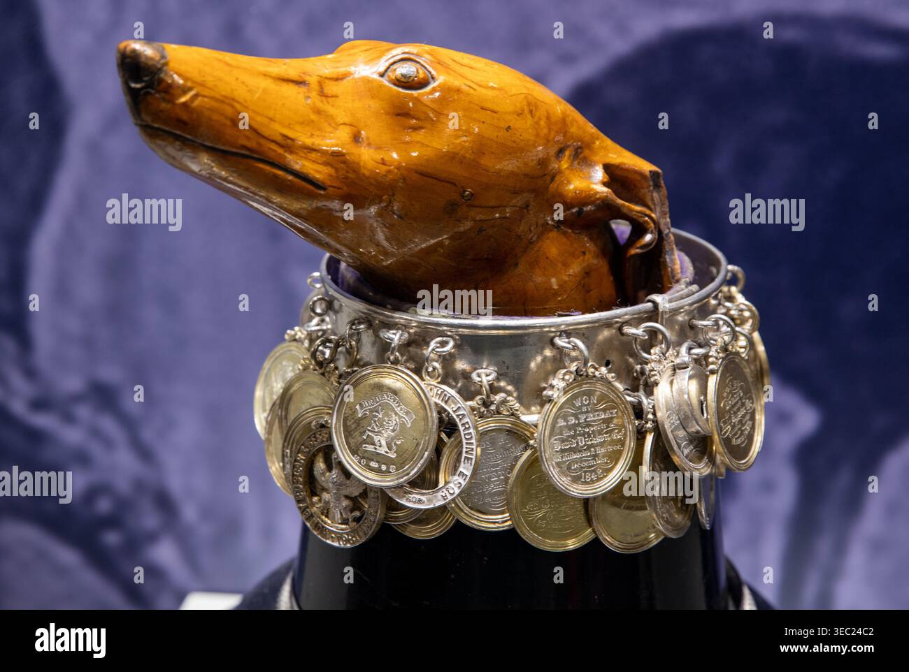The Dogs Head una scatola di snuff modellata su un cane degli anni '1830 si trova in cima al collare d'argento (1820) Foto Stock