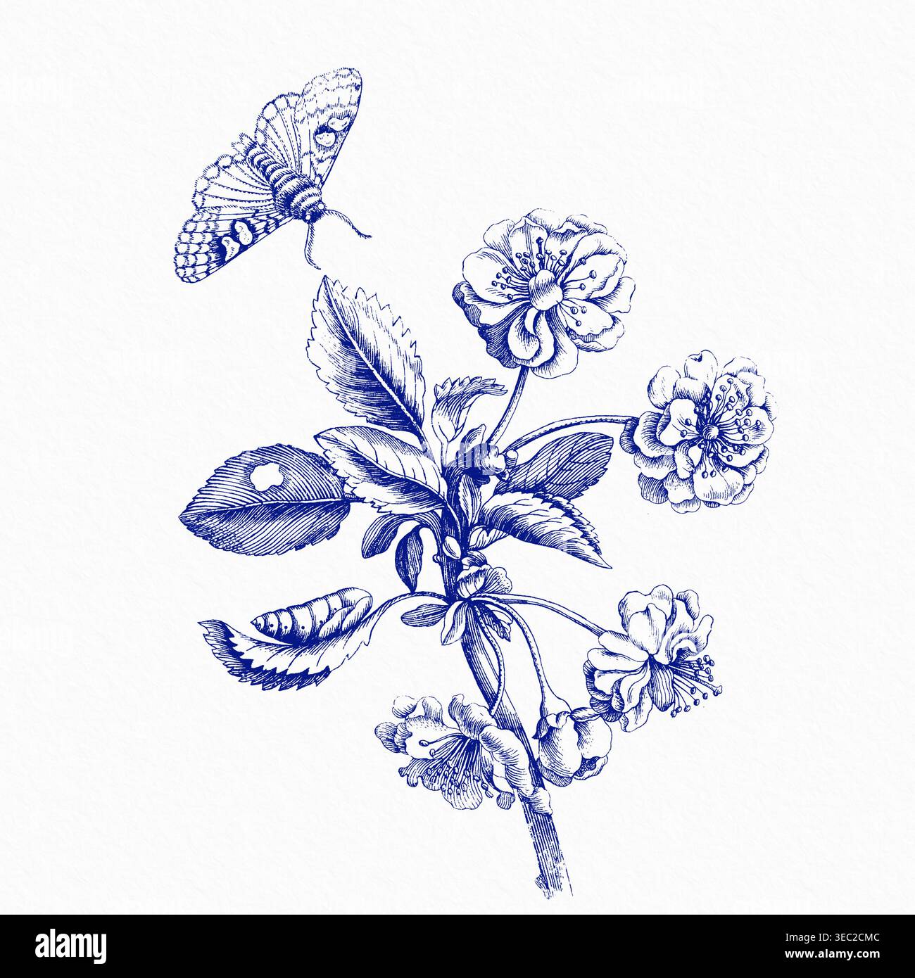 Illustrazione floreale e a farfalla disegnata a mano con inchiostro blu su sfondo ad acquerello fatto a mano. Grafica originale. Foto Stock