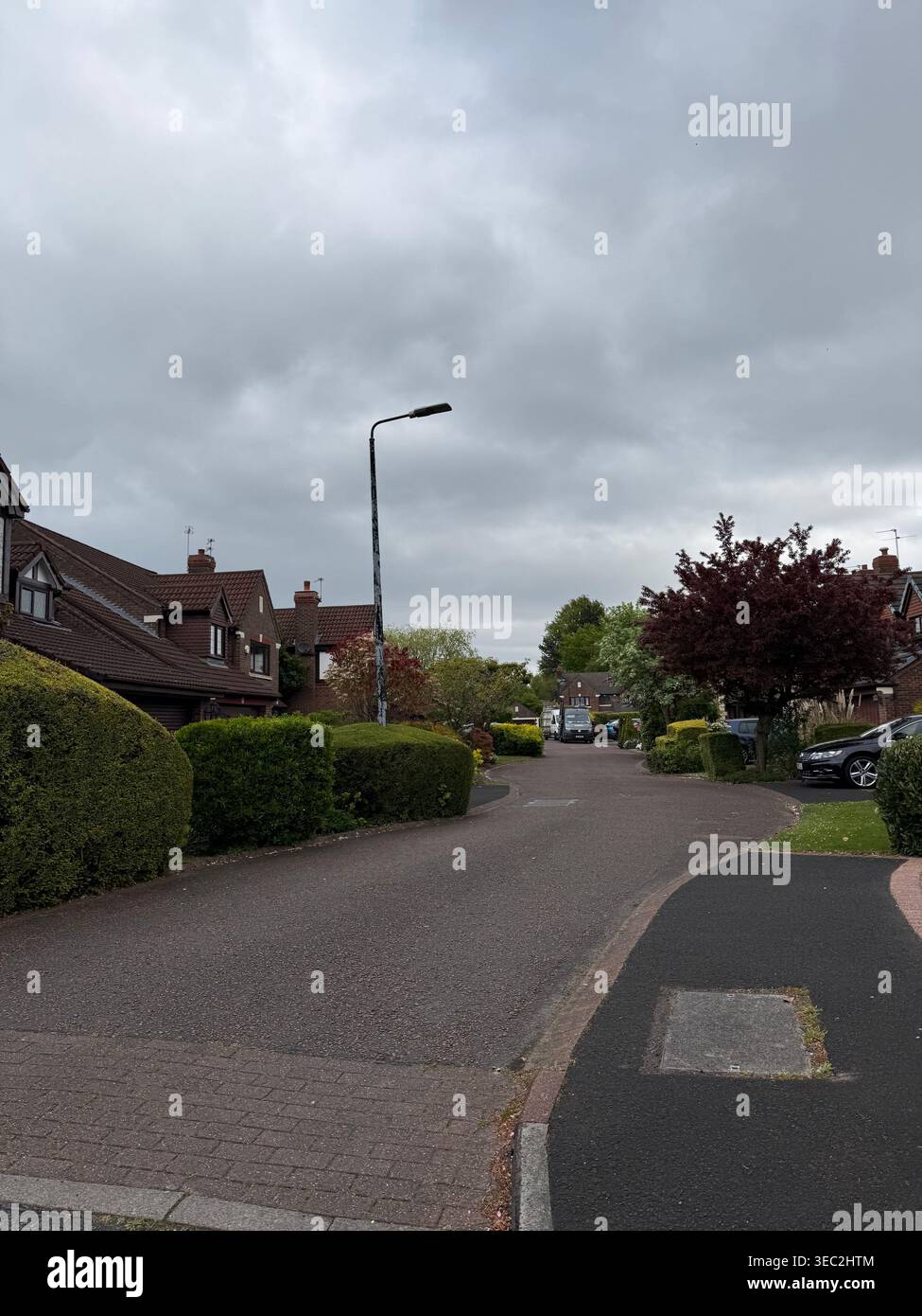 Le case in mattoni rossi fiancheggiano una strada residenziale con piante e alberi autoctoni ad Ashton-on-Mersey, Manchester, Inghilterra, Regno Unito, fotografati nel 2026. Foto Stock