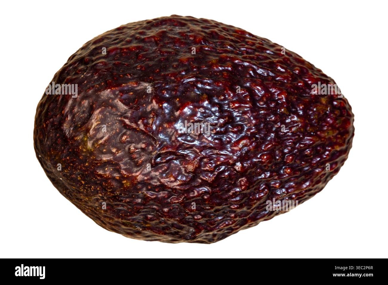 Avocado di Hass maturo isolato, primo piano della pelle ruvida, fotografia di alimenti biologici Foto Stock