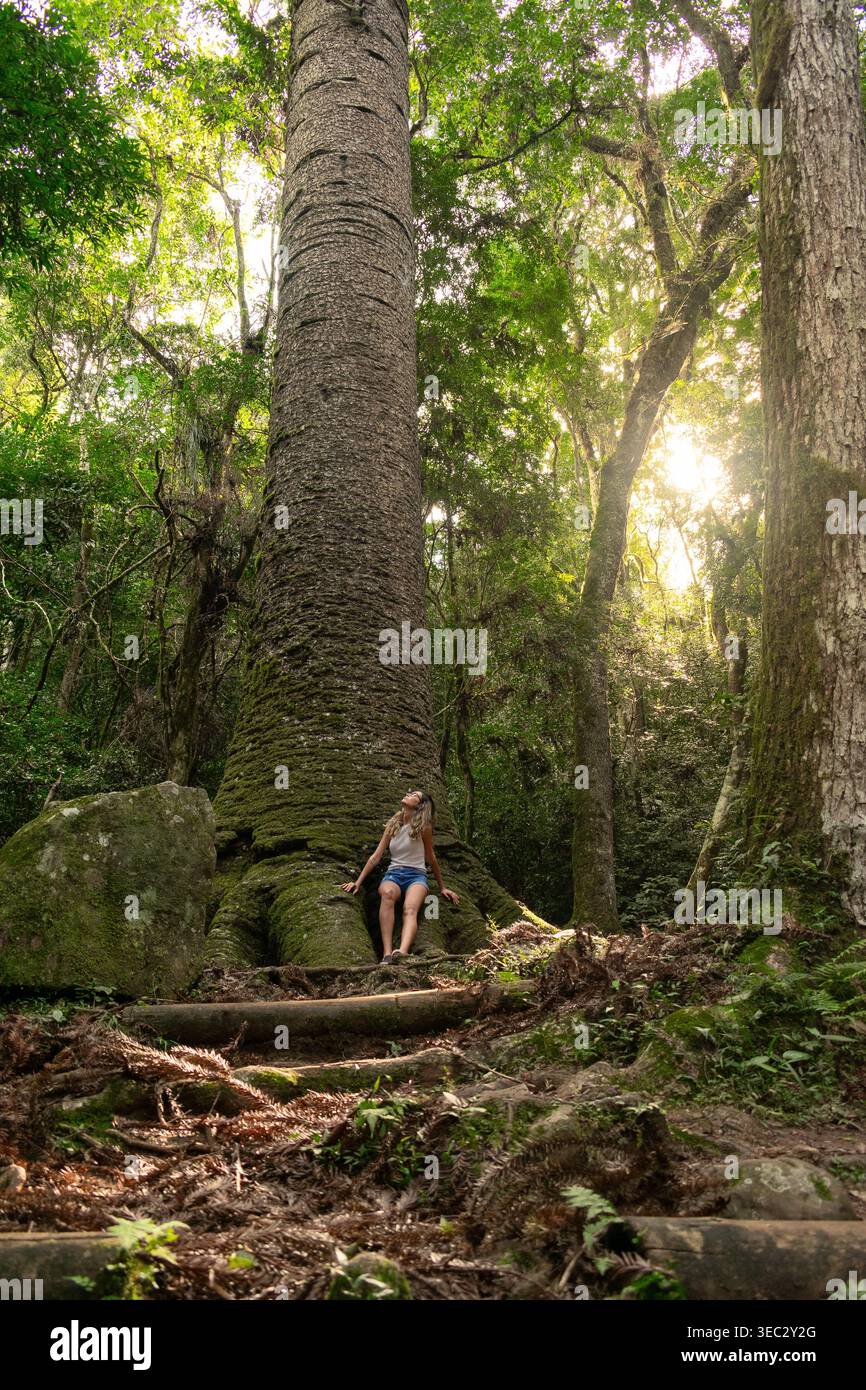 Una donna riposa a terra accanto a un grande albero in una fitta foresta. La luce del sole filtra attraverso la tettoia sopra, creando macchie di luce sulla foresta Foto Stock