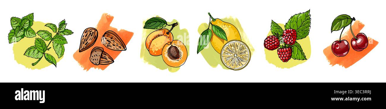 Set vettoriale disegnato a mano bacche, frutta, spezie e chicchi di caffè Illustrazione Vettoriale