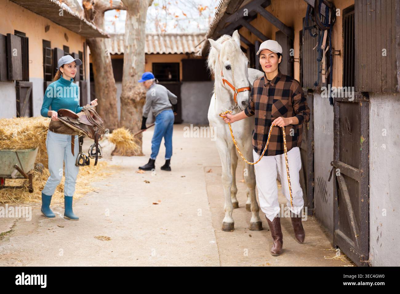 Donne allevatrici di cavalli che equipaggiano il cavallo Foto Stock