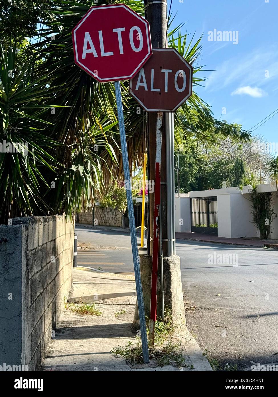 Due segnali di stop spagnoli "alto" in una tranquilla strada residenziale a Mérida, Yucatán, Messico Foto Stock