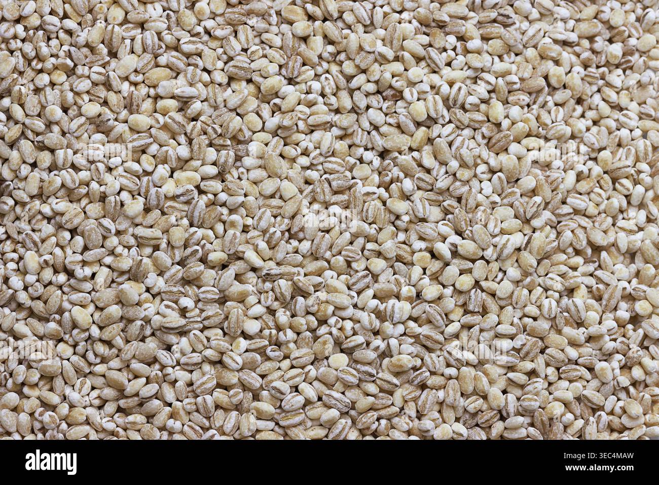 Colpo d'aria di orzo perlato Foto Stock