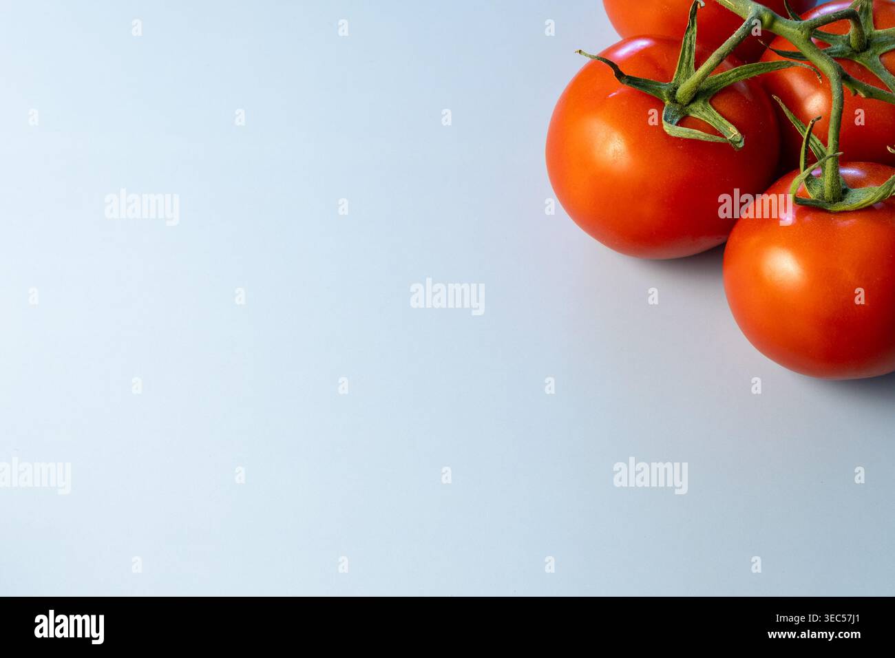 Pomodori sulla vite nell'angolo dell'immagine con spazio copia su sfondo normale Foto Stock