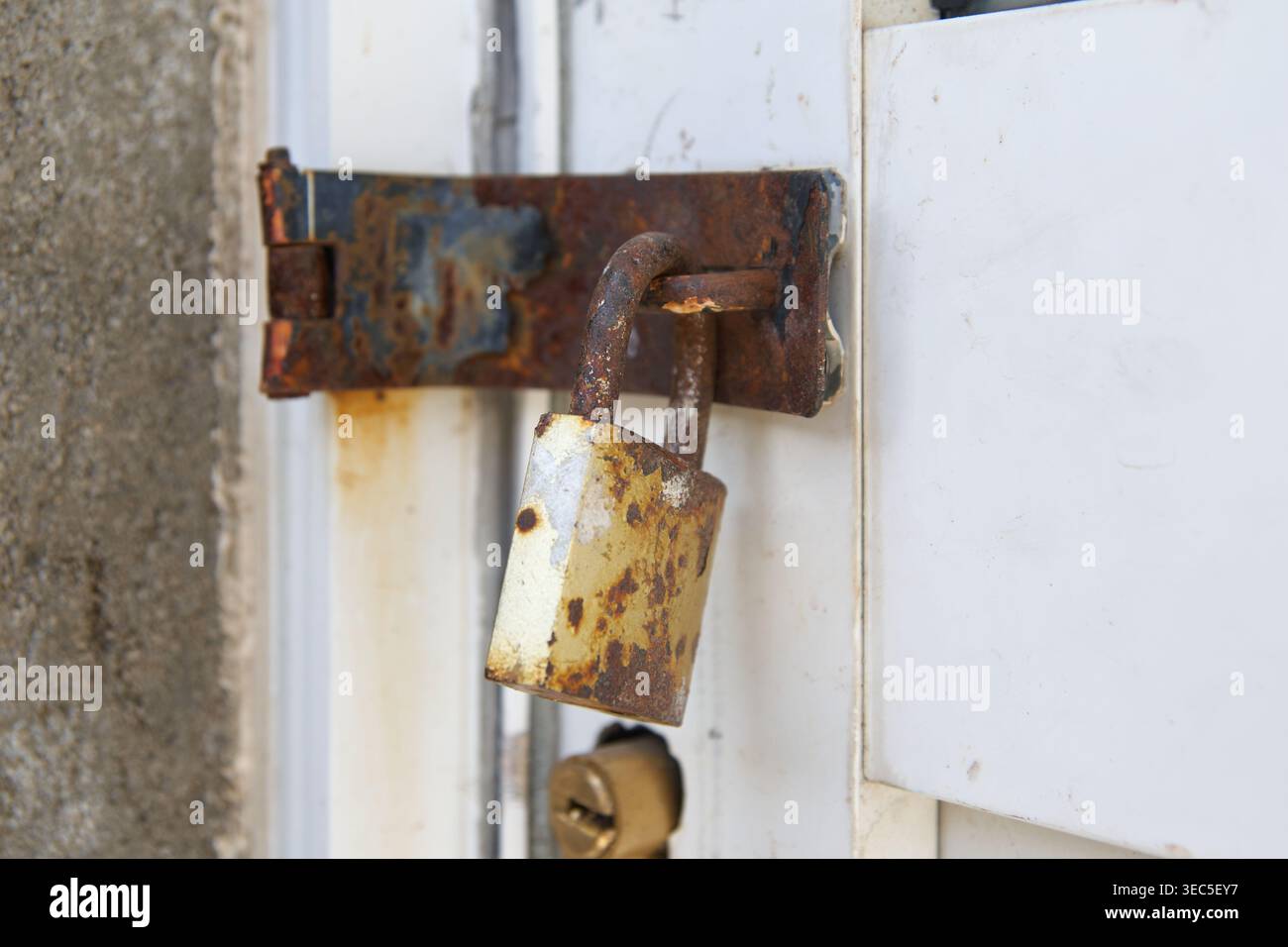 lucchetto e fibbia in metallo arrugginito sulla porta in legno bianco, superfici marroni corrose vista laterale in primo piano con messa a fuoco morbida, sicurezza e concetto di decadimento urbano Foto Stock