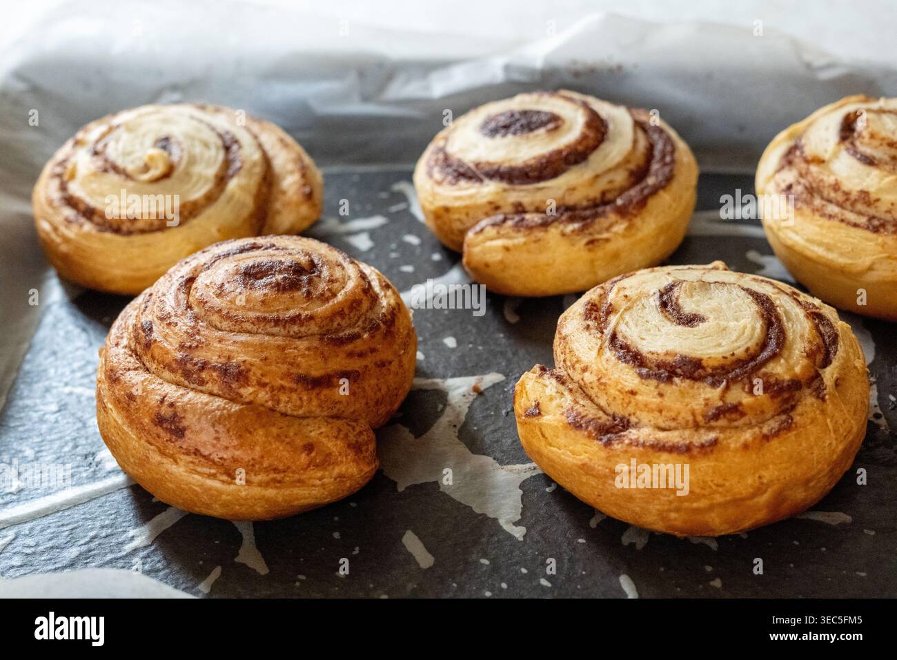 Rotoli di cannella appena sfornati su vassoio da forno con carta pergamena, dessert di pasticceria fatta in casa pronto da mangiare Foto Stock