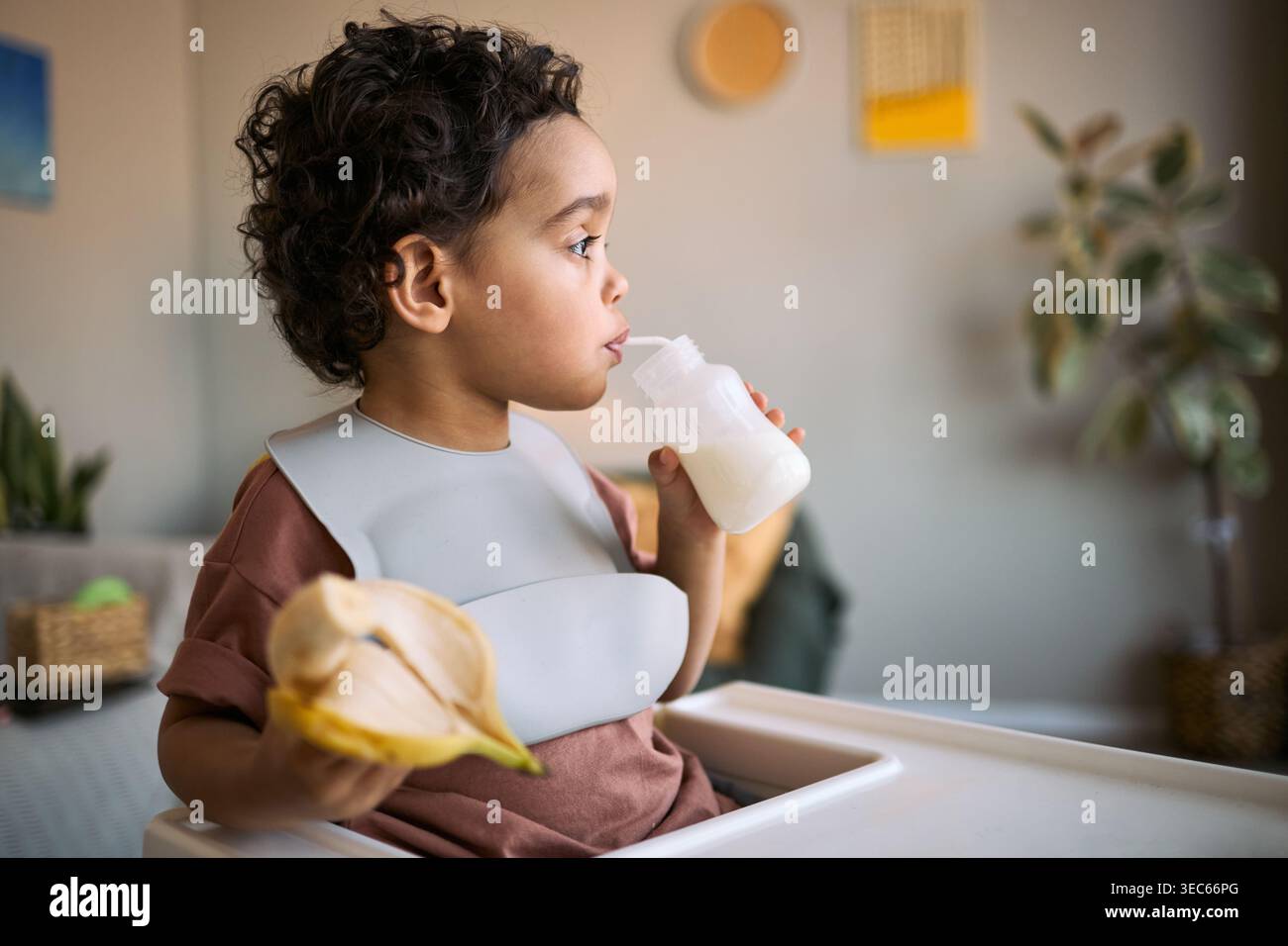 Il bambino beve il latte dal biberon mentre tiene in mano la pera tagliata sul seggiolone, mostrando l'autoalimentazione e la nutrizione precoce Foto Stock
