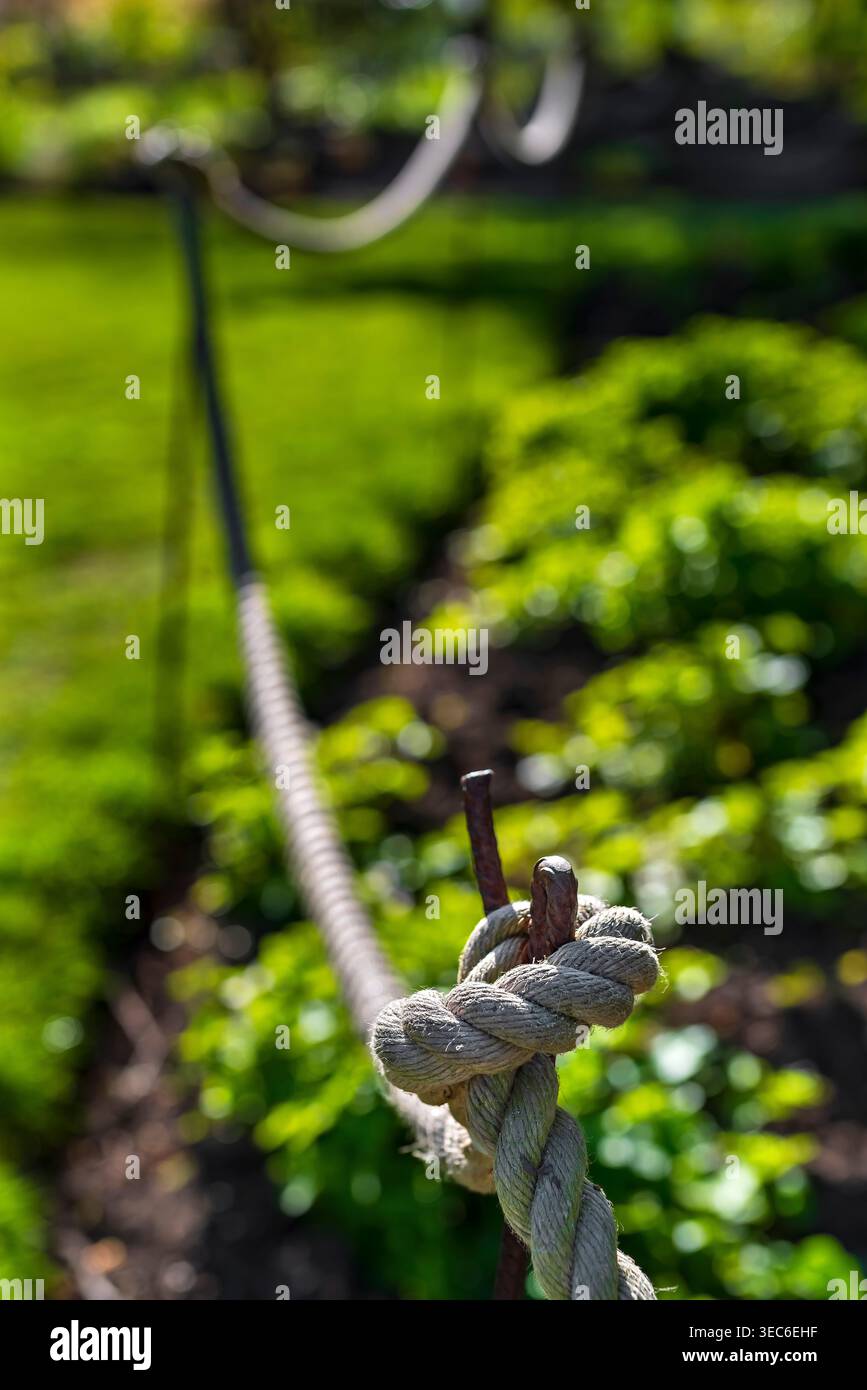 Barriera di corda con bokeh profondo nei giardini botanici di Sheffield Foto Stock