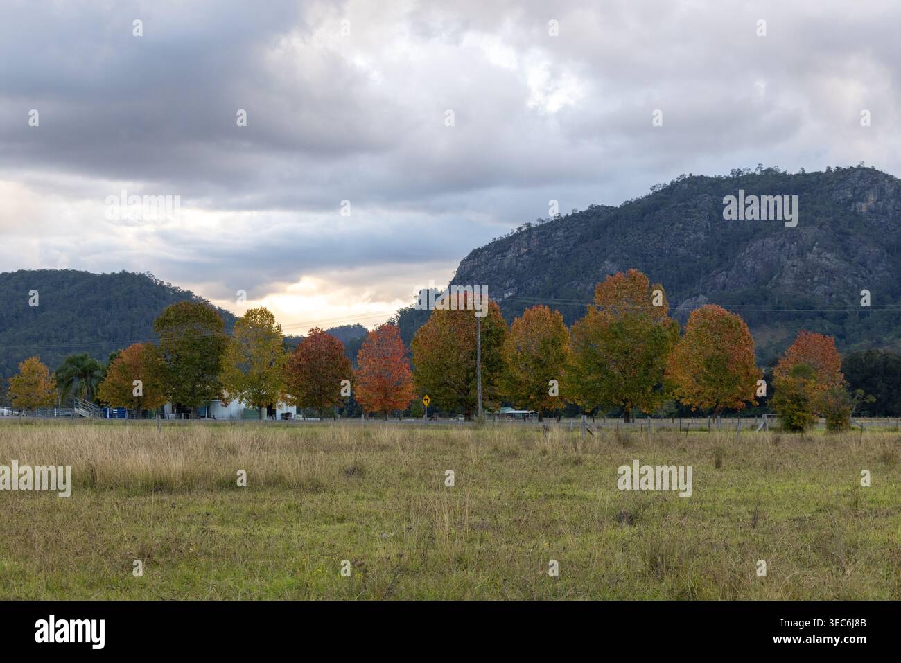 Gloucester, New South Wales, Australia. 29 aprile 2026. Credito: Immagini NSW/Alamy Foto Stock