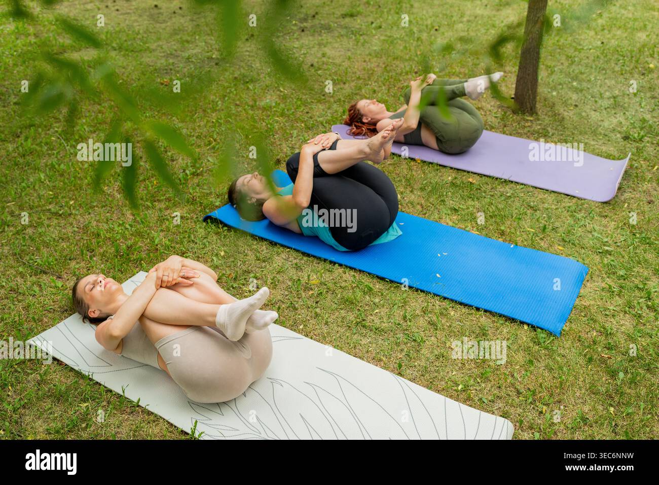 Lezione di yoga che mette fine al relax, donne sdraiate e abbracciate le ginocchia sui tappeti sotto i verdi alberi estivi nel parco cittadino. Relax, yoga, tappetini, ginocchia abbracciate, parco Foto Stock