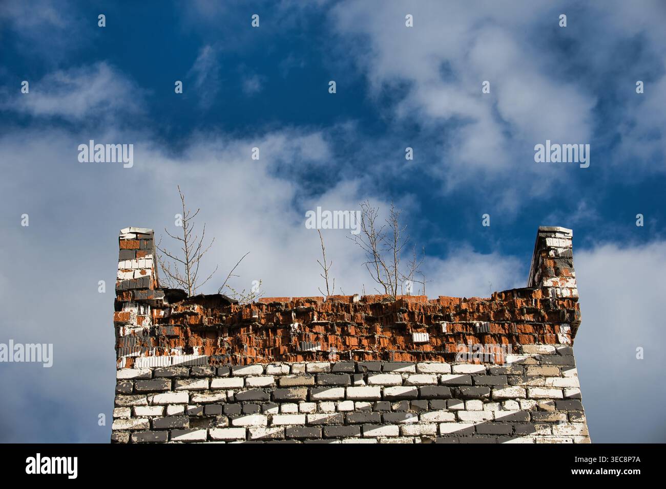 Muro di mattoni abbandonato con piccoli alberi sotto il cielo blu Foto Stock