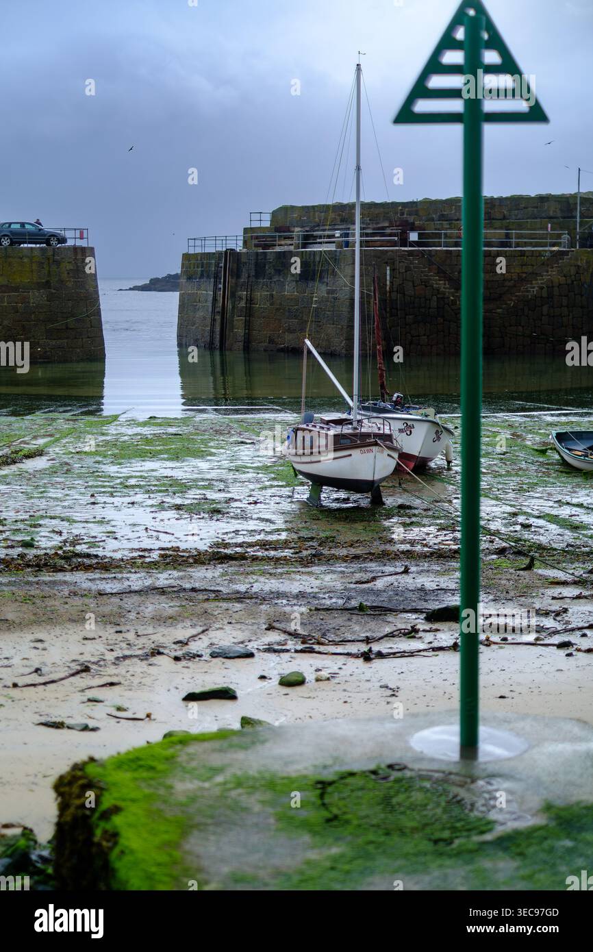 Le barche a vela si siedono sulla sabbia e sulle alghe durante la bassa marea all'interno del porto murato di pietra di Mousehole, in Cornovaglia, in Inghilterra, con una navigazione verde Foto Stock