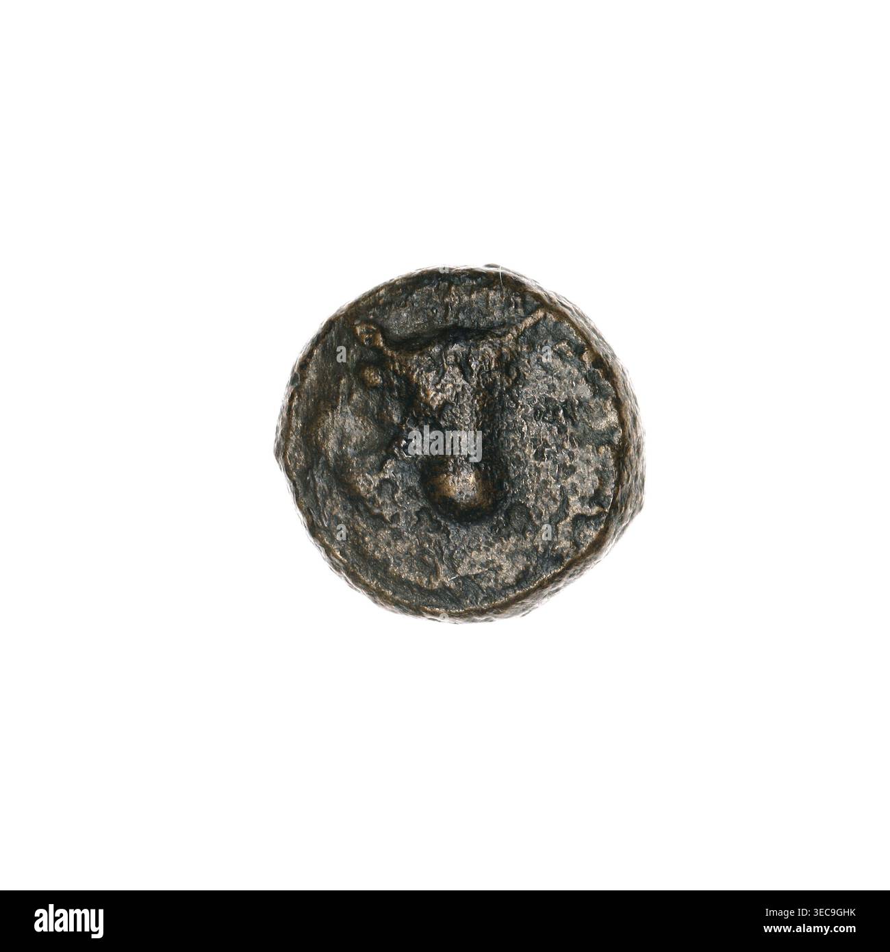 Moneta di bronzo, Pantikapaion; dritto: Testa di toro 3/4 a destra; rovescio: Arare a sinistra, sopra di essa un orecchio di mais a sinistra, lettere ai lati e in alto; iconografia: Orecchie di mais, testa di toro, aratri, tori, animali, piante, utensili; funzione: moneta; provenienza: Cimmerian Bosporus, Pantikapaion; data: fine della III-i metà del II secolo a.C.; peso: 1,83 g; asse 90°; dimensioni: 10,6 x 11,1 mm. Un piccolo oggetto metallico rotondo con una superficie irregolare e ruvida si trova centrato su uno sfondo bianco semplice; l'oggetto mostra aree irregolari sollevate e dentellate, con un bordo ruvido e un rilievo centrale Foto Stock