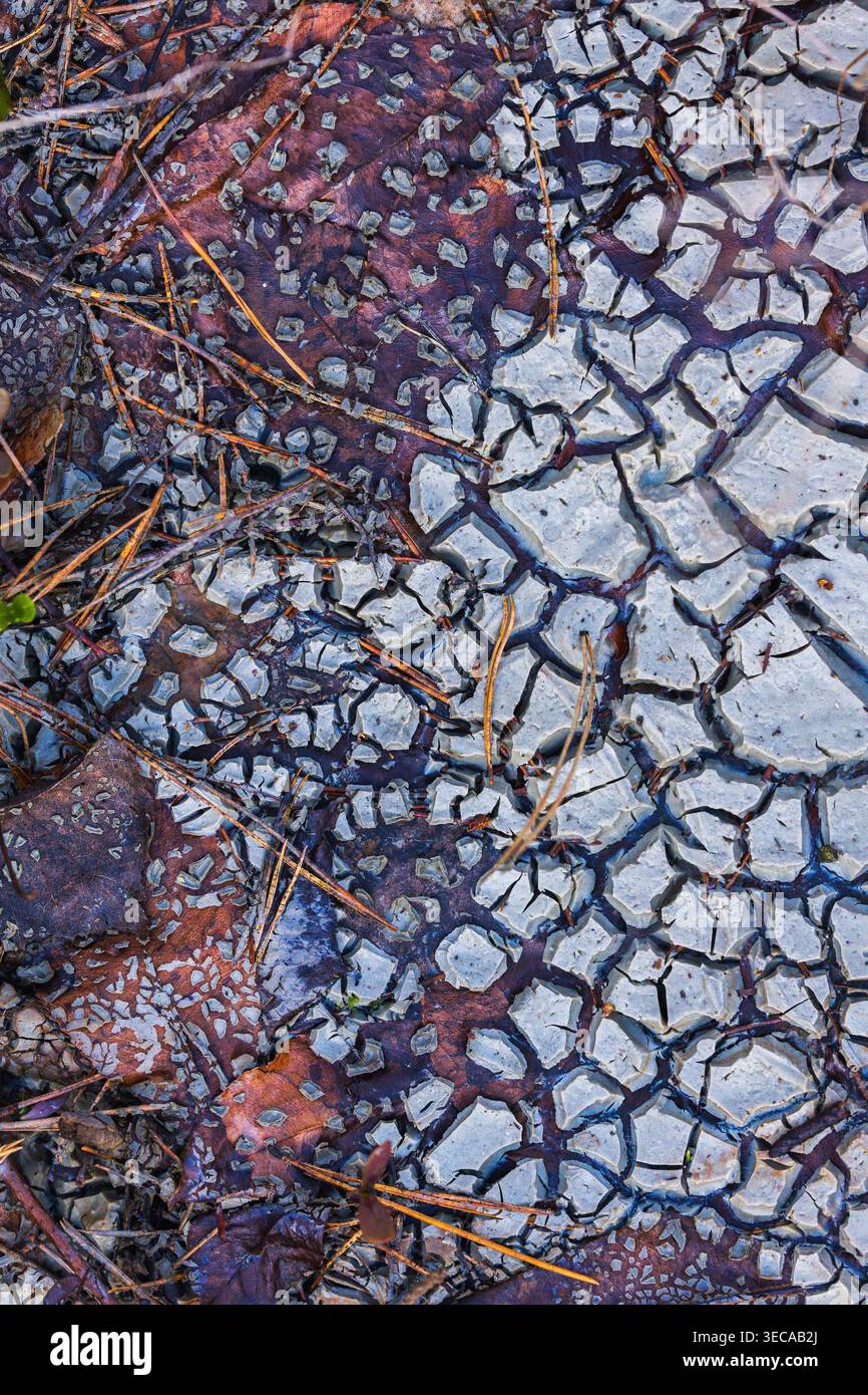 Terra incrinata. Un paesaggio arido con motivi di terra crepati e asciutti in una calda tonalità arancione Foto Stock