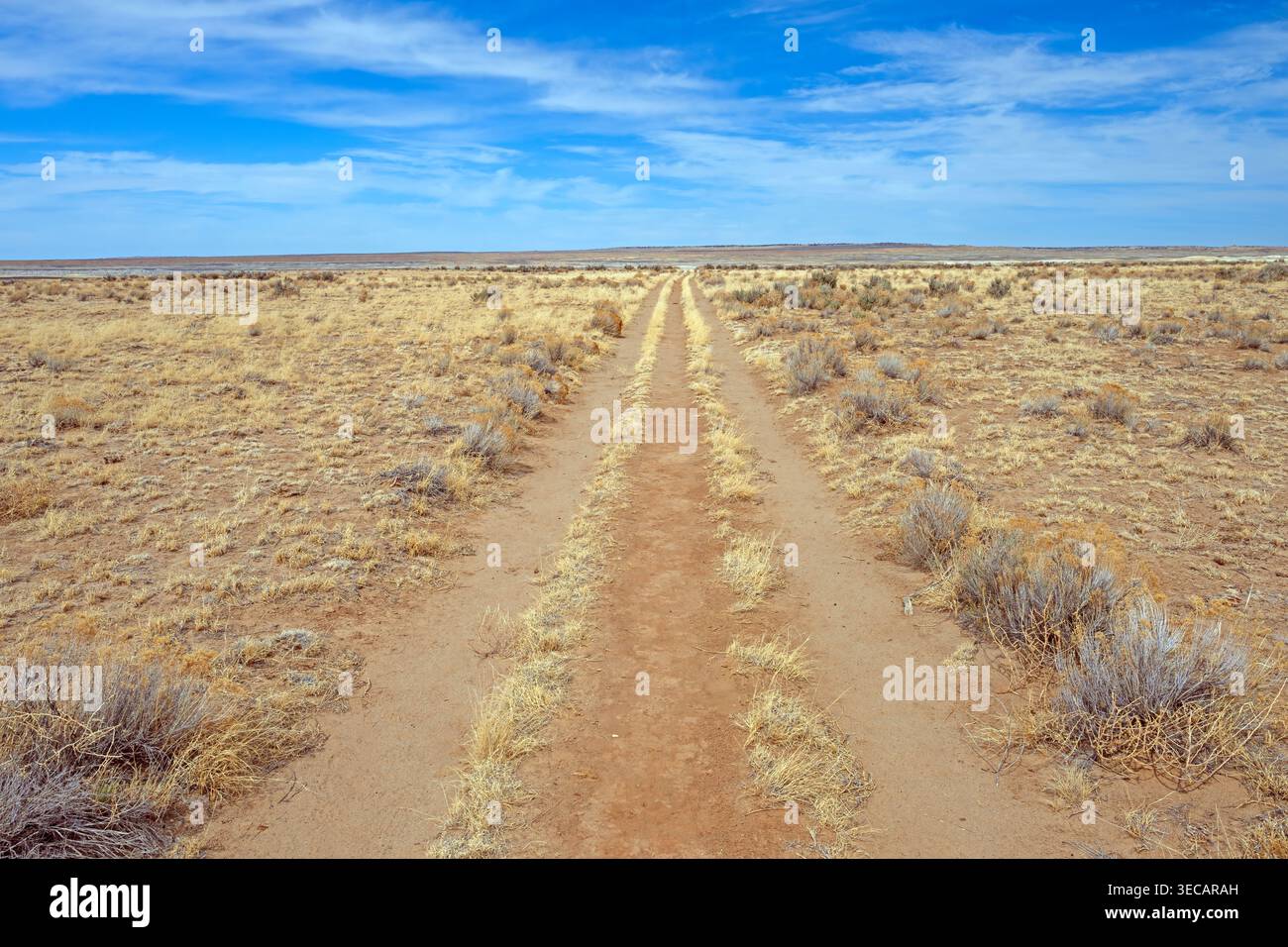 Lonely Road nelle Western Plains nel New Mexico settentrionale Foto Stock