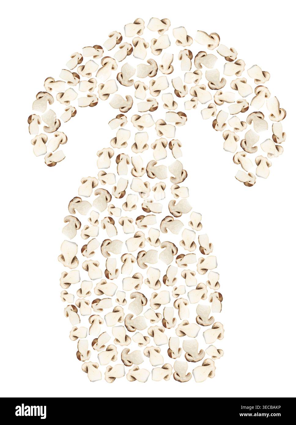 Funghi disposti a forma di funghi su sfondo bianco Foto Stock