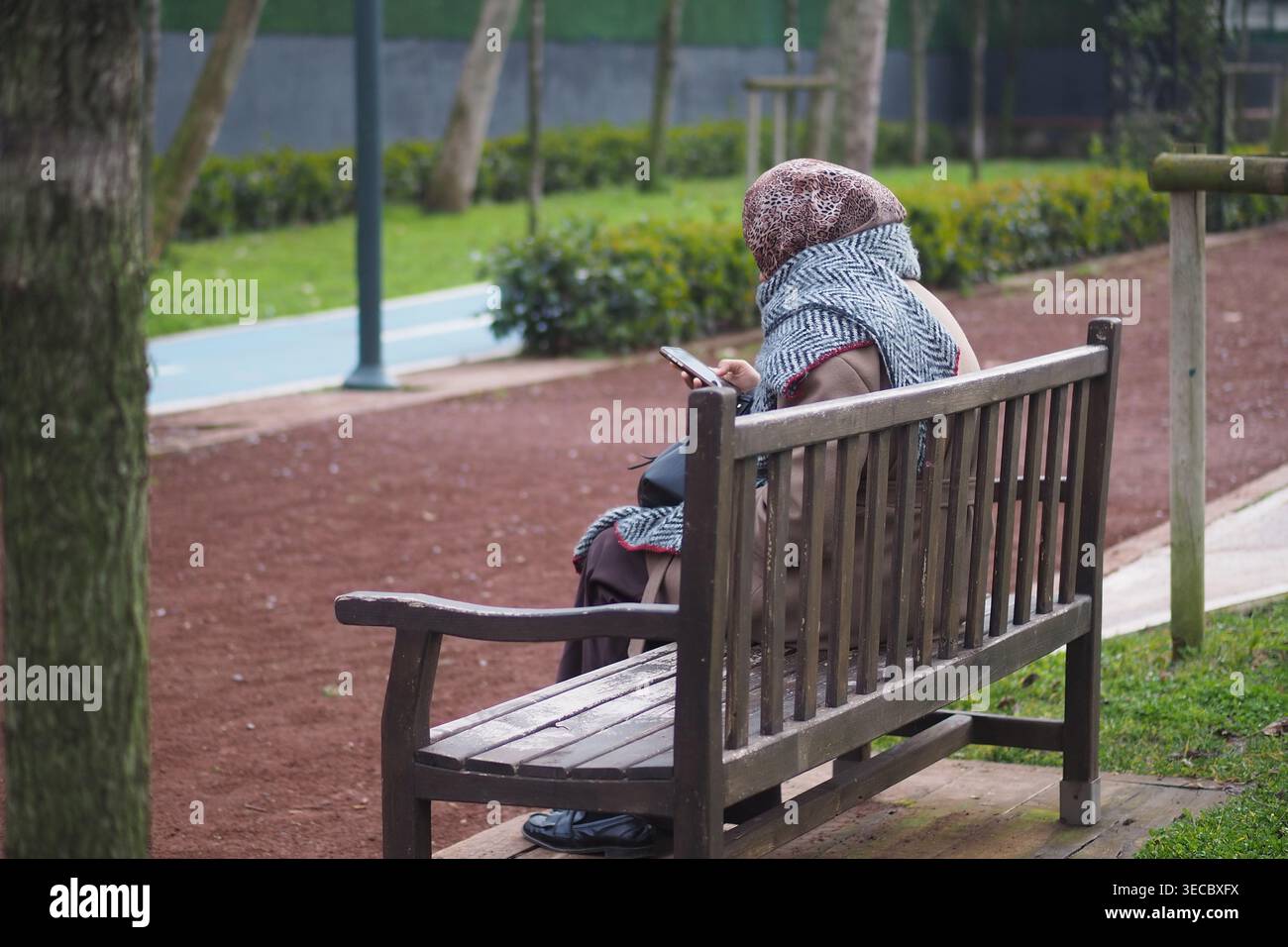 Donna seduta sulla panchina mentre guarda il telefono nel parco Foto Stock