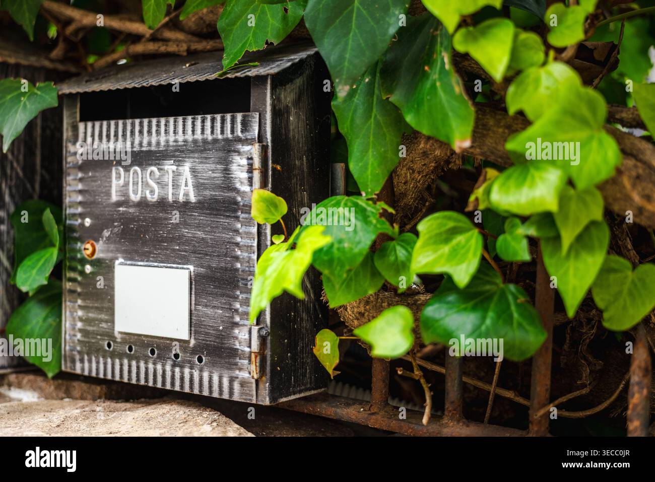 Cassetta postale in metallo rustico con testo posta parzialmente nascosto da foglie di edera verde su una vecchia recinzione in Italia Foto Stock