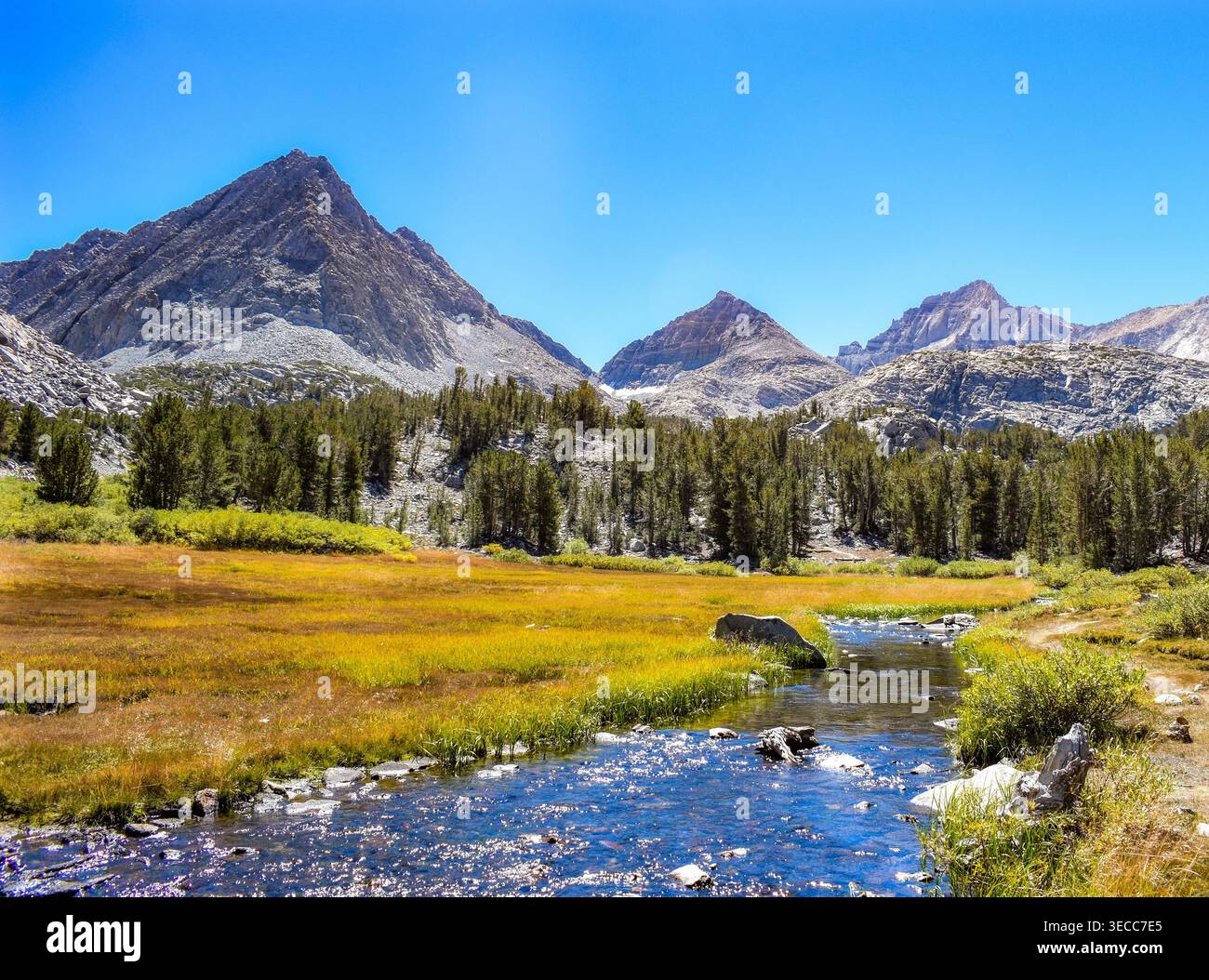 Prato alpino con ruscelli e vette montane nel paesaggio selvaggio della Sierra Nevada Foto Stock