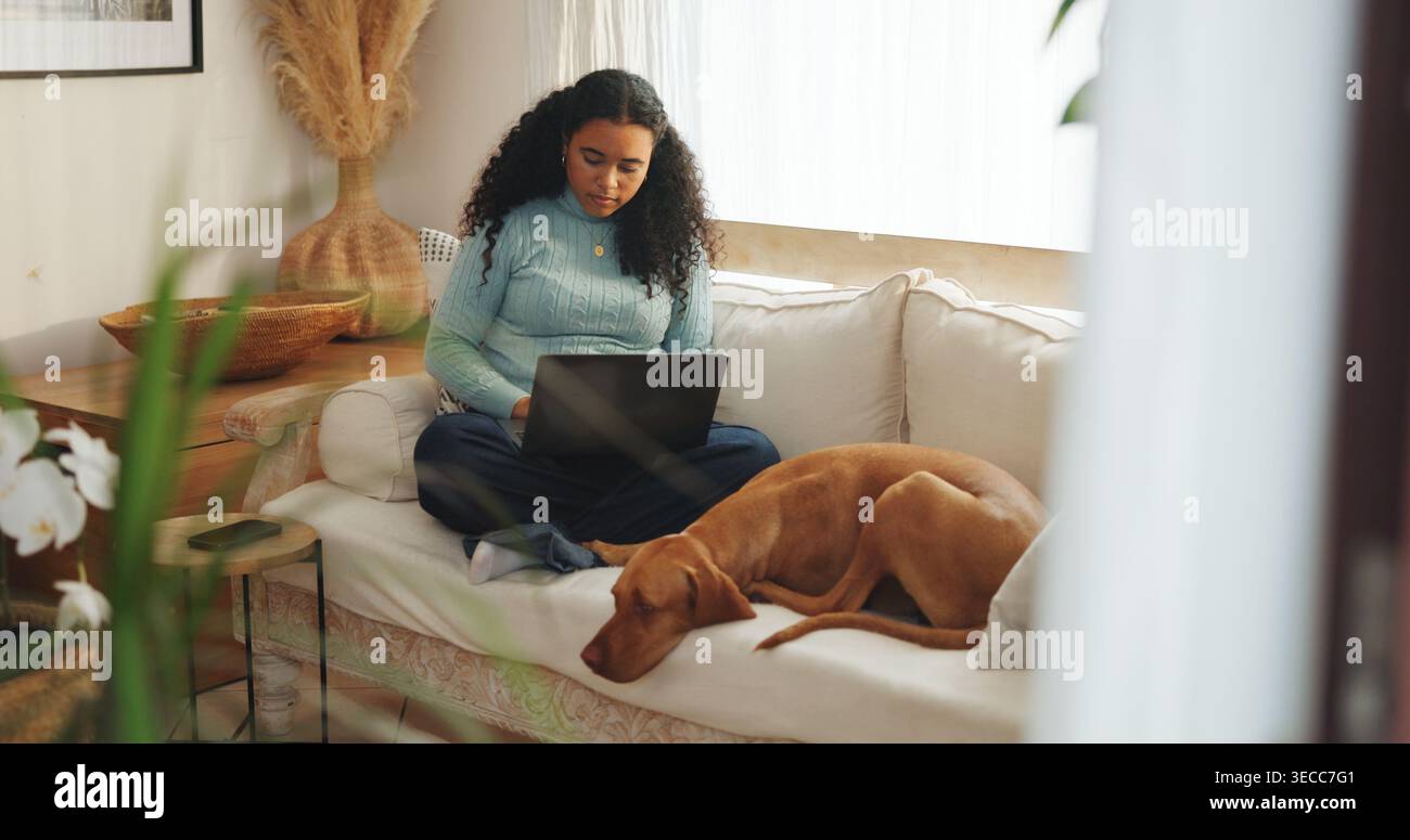 Educativo, cane e donna con laptop sul divano per elearning, incarico e compagno fedele. Studente universitario, calmo animale e tecnologia in casa per Foto Stock